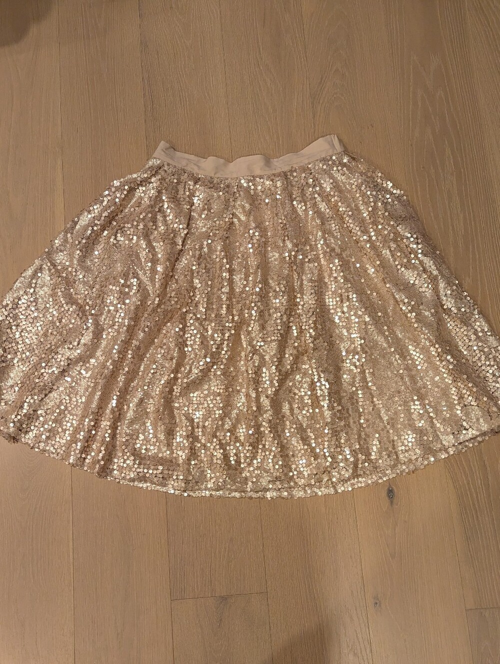 Sequin A-Line Skirt - Champagne